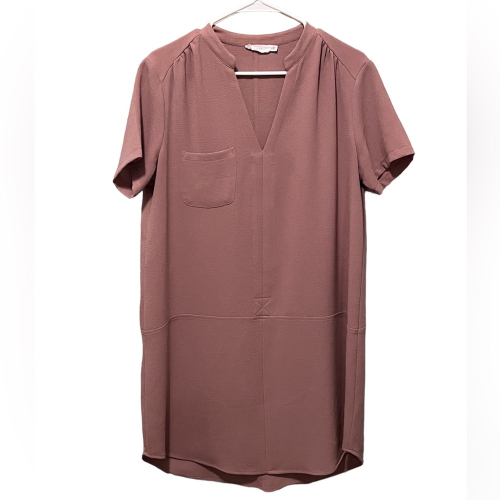LUSH Large business classy nude pink dress